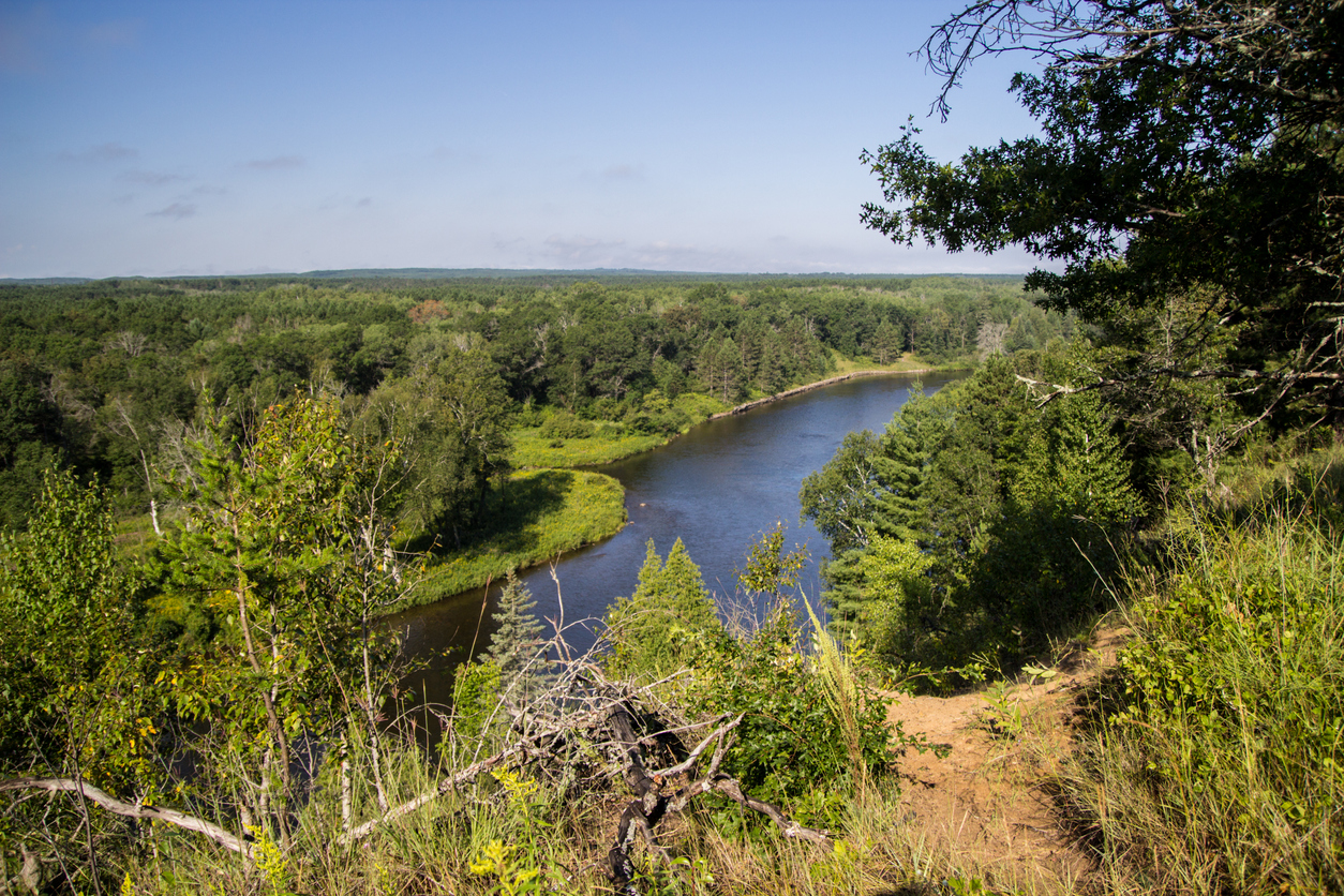 Lush wilderness forest of the Huron Manistee National Forest with Ausable River flowing through